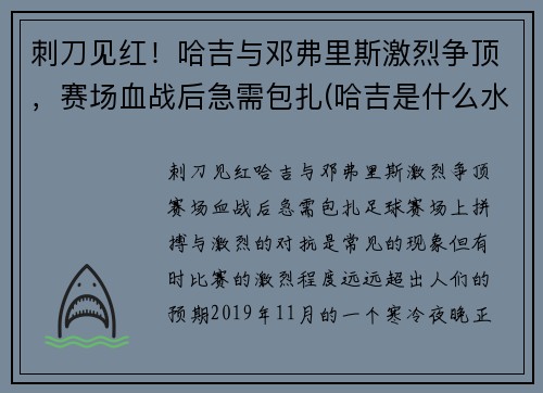 刺刀见红！哈吉与邓弗里斯激烈争顶，赛场血战后急需包扎(哈吉是什么水平的球员)